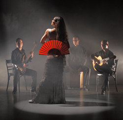 Nick Perrin Flamenco Jazz Quartett - Nick Perrin Flamenco Jazz Quartett