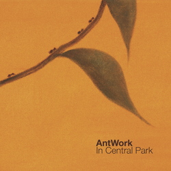 AntWork - In Central Park
