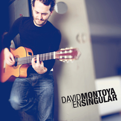 David Montoya - En Singular