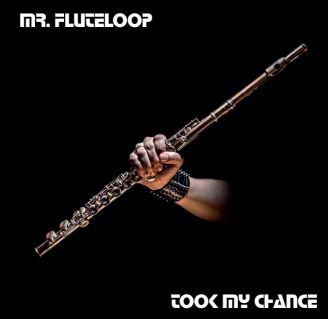 Mr. Fluteloop - Took my chance
